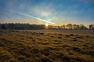 Zonsopkomst bij het Wekeromse Zand in Nederland van Rick van de Kraats thumbnail