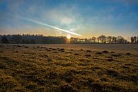 Zonsopkomst bij het Wekeromse Zand in Nederland