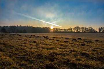 Zonsopkomst bij het Wekeromse Zand in Nederland van Rick van de Kraats