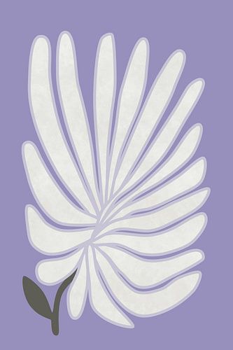 Weiße Chrysanthemenblüte