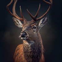 Portrait d'un cerf Illustration