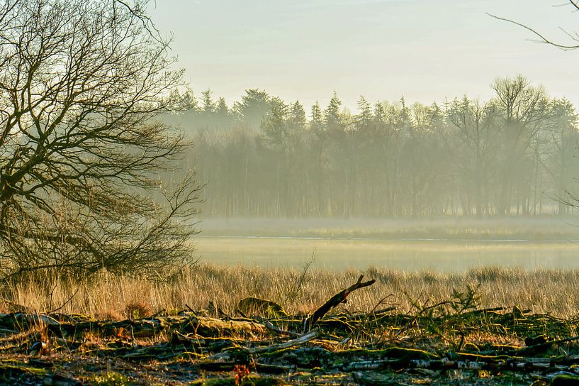 lake with mist by Tania Perneel