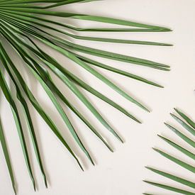 Palm (blad) sur Jeantina Lensen-Jansen