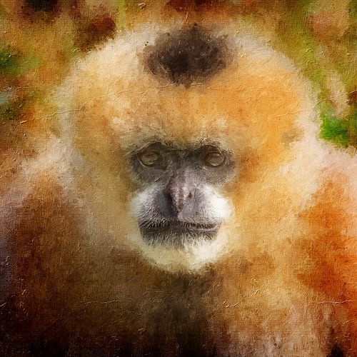 Portret van een witwanggibbon (kunst)