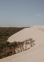 Europe's largest dune