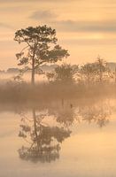 Mistige zonsopkomst