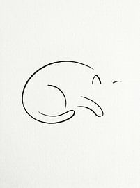 Schlafende Katze – Drei Kurven von nekochan23
