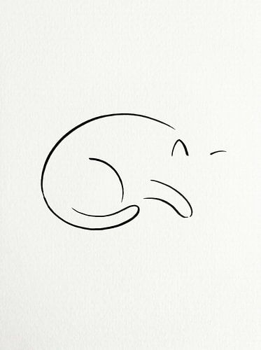 Schlafende Katze – Drei Kurven