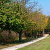 Herbst im Weinviertel von Leopold Brix