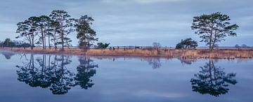 Panorama van het Nationaal Park Dwingelderveld van Henk Meijer Photography