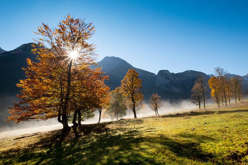 Herfst sfeer op de &quot;Large Maple Ground' Ground&quot; van Andreas Müller
