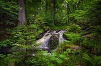 Chute d'eau dans le Harz