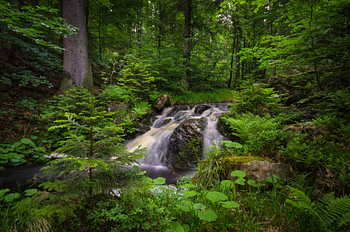 Chute d'eau dans le Harz