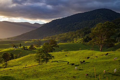 New South Wales, Australie