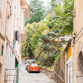 straatje met planten en auto's | Spanje | reisfotografie van Lisa Bocarren