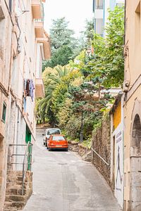straatje met planten en auto's | Spanje | reisfotografie van Lisa Bocarren