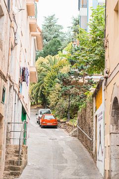 rue avec plantes et voitures | Espagne | photographie de voyage sur Lisa Bocarren