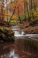 Herbstlandschaft