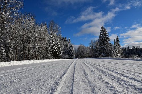Een ijzige weg in de winter