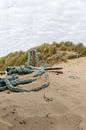 Texel | strand | duinen van Claudia van Kuijk thumbnail