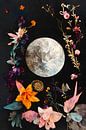 La Lune von Treechild Miniaturansicht