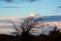 Dans le vent