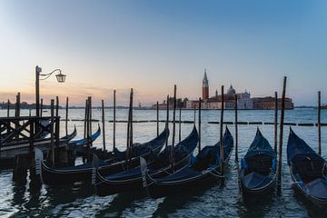 Gondeln in Venedig von Roy Poots