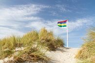 Duinen van Waddeneiland Terschelling met vlag #4 van Marianne Jonkman thumbnail