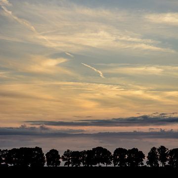 Bomendijk sur Stefan Koeman