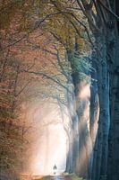 Mit dem Fahrrad in den Himmel