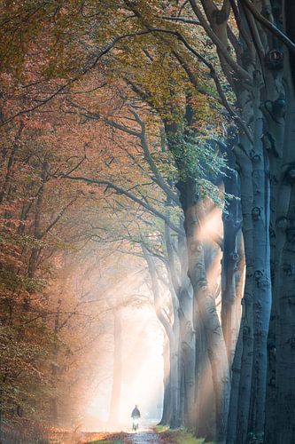 Fietsen naar de Hemel