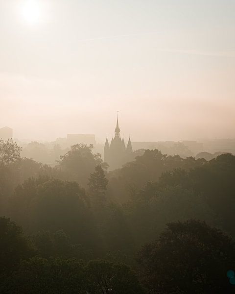 Sassenpoort in de mist van Thomas Bartelds