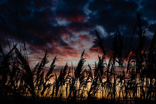 Kleur in de lucht