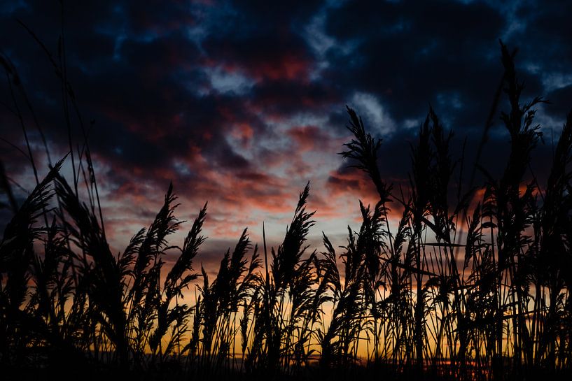Farbe am Himmel von Lies Callemeyn