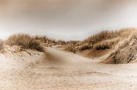 Duinlandschap van Kirsten Warner thumbnail