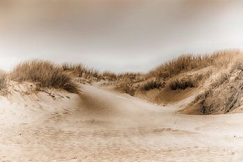 Duinlandschap