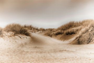 Paysage de dunes sur Kirsten Warner