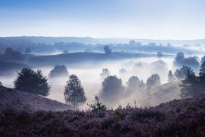 Posbank zonsopkomst silhouetten van Albert Dros