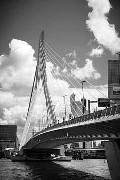 Pont Erasmus sur SVPhotographie