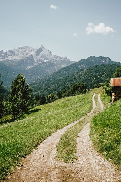Sentier dans les Alpes allemandes par Patrycja Polechonska