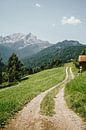 Sentier dans les Alpes allemandes par Patrycja Polechonska Aperçu