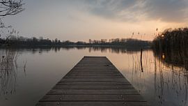 Looking out von Scott McQuaide