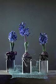 Still life 'The Promise