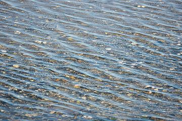 La montée des eaux dans la mer des Wadden