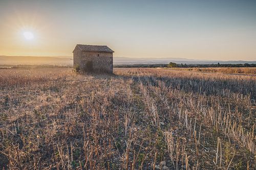 Sunset in the fields of the Rhône valley