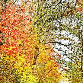 an autumnal forest by Werner Lehmann