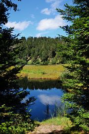 Nonnenmattweiher- im Schwarzwald 2.0 von Ingo Laue