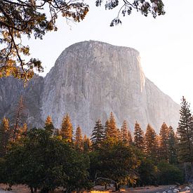 El Capitan dans la vallée de Yosemite au lever du soleil sur swc07