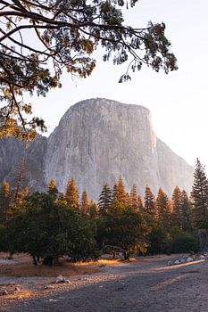 El Capitan in Yosemite Valley at Sunrise
