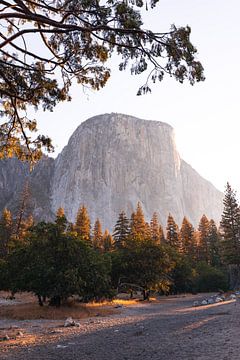 El Capitan dans la vallée de Yosemite au lever du soleil